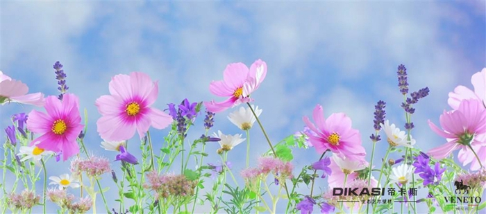 植樹節(jié)|春風十里，不如一片綠意